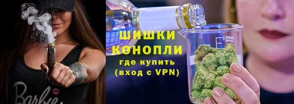 прущие грибы Козловка