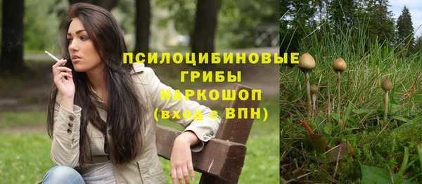 гидра Козельск