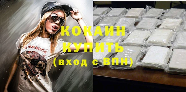 прущие грибы Козловка