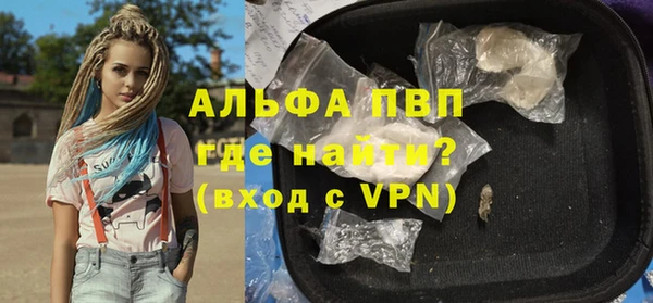 прущие грибы Козловка