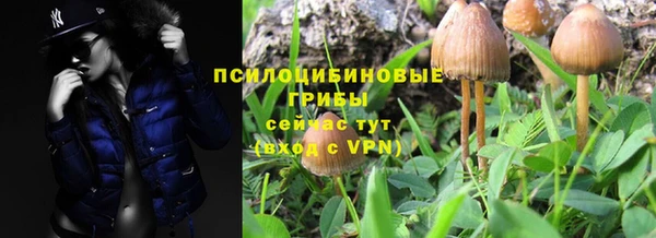 МДМА Кодинск