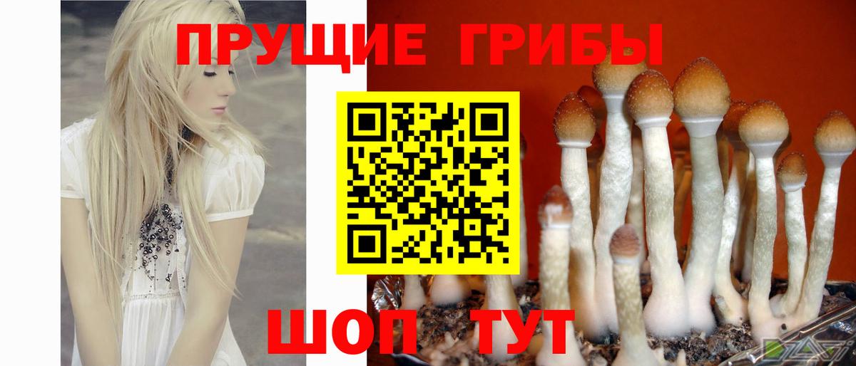 Псилоцибиновые грибы мицелий  Вход с VPN  Маркс 
